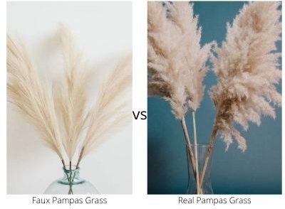 Faux Pampas Grass vs Real Pampas Grass