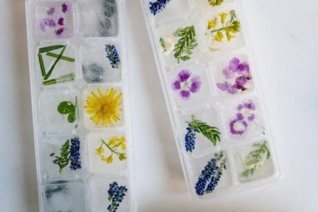 Floral Ice Cubes in Tray