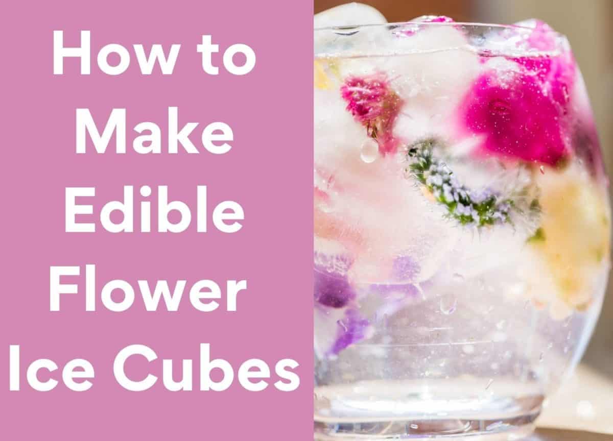 How to Make Edible Flower Ice Cubes Feature Image
