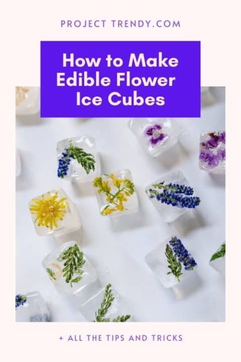 How To Make Edible Flowers In Ice Cubes Really Easy