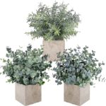 Dead Space 3 pack plant idea for kitchen wall decor