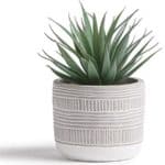 Dead Space grass plant idea for kitchen wall decor