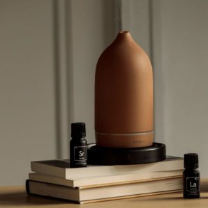 Diffuser Housewarming Gift Ideas