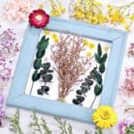 Dried Flowers for kitchen wall decor