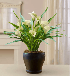 White Calla Lily Housewarming Gift Ideas