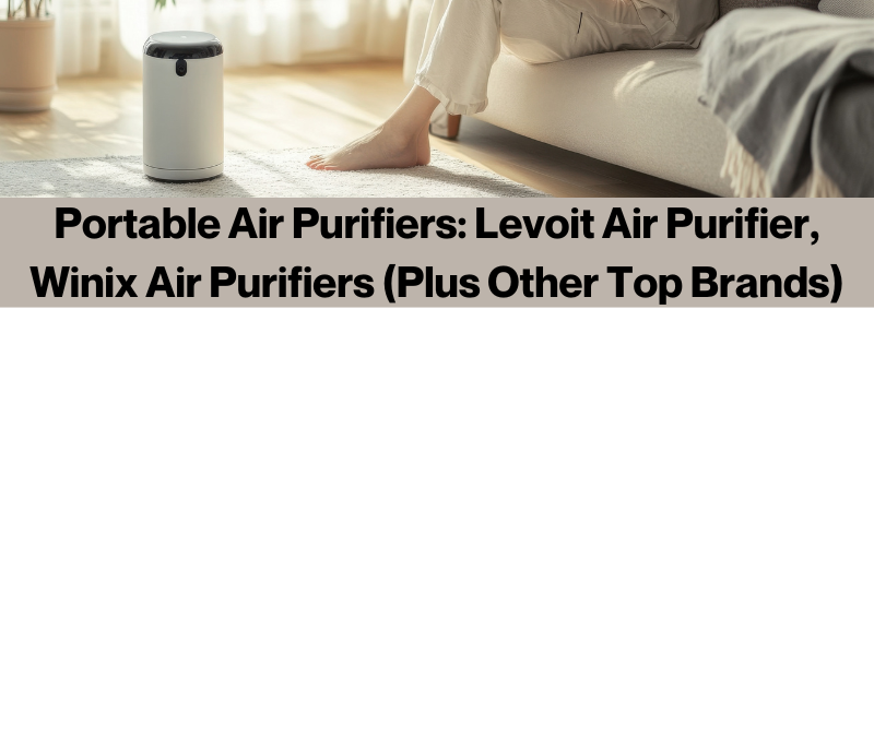 Portable Air Purifiers: Levoit Air Purifier, Winix Air Purifiers (Plus Other Top Brands)