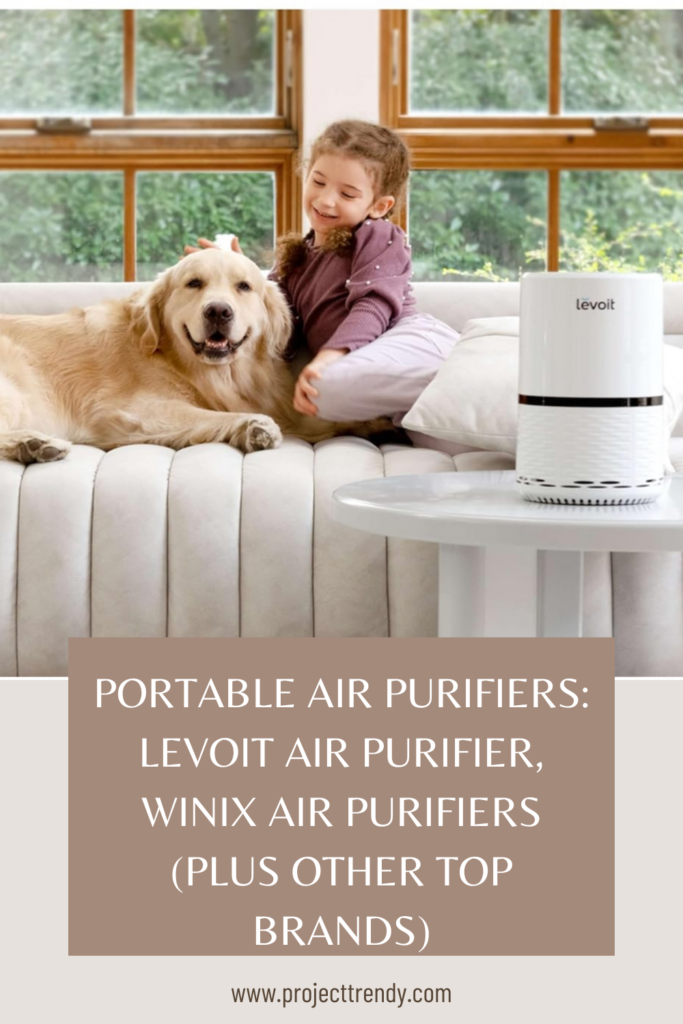 Portable Air Purifier Pin